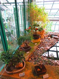 Botanická zahrada (Liberec)