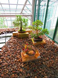 Botanická zahrada (Liberec)