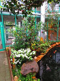 Botanická zahrada (Liberec)