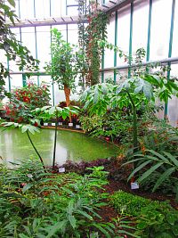 Botanická zahrada (Liberec)