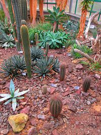 Botanická zahrada (Liberec)