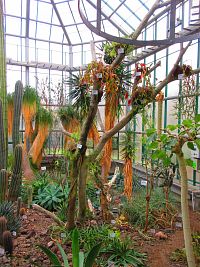 Botanická zahrada (Liberec)