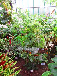 Botanická zahrada (Liberec)