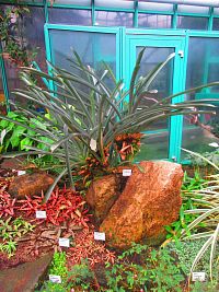 Botanická zahrada (Liberec)