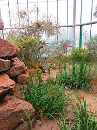 Botanická zahrada (Liberec)