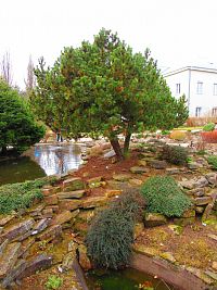 Botanická zahrada (Liberec)