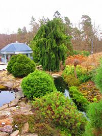 Botanická zahrada (Liberec)