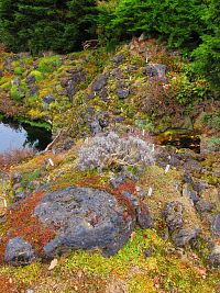 Botanická zahrada (Liberec)