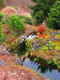 Botanická zahrada (Liberec)