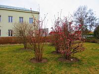 Botanická zahrada (Liberec)