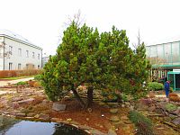 Botanická zahrada (Liberec)