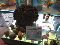 Botanická zahrada (Liberec)