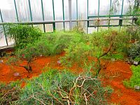 Botanická zahrada (Liberec)