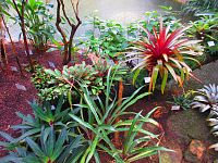 Botanická zahrada (Liberec)