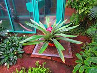 Botanická zahrada (Liberec)