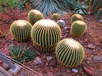 Botanická zahrada (Liberec)