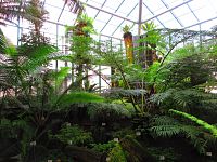 Botanická zahrada (Liberec)