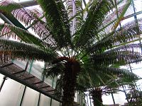 Botanická zahrada (Liberec)