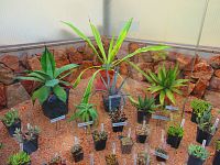 Botanická zahrada (Liberec)