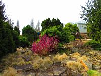 Botanická zahrada (Liberec)