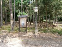 Les Kapounky u Bělče nad Orlicí