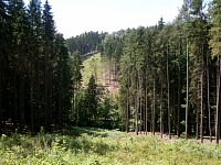 Pohled ze stráně pod Mstětínem (Mstětín)