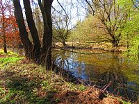 Sýkorky (Hradec Králové)
