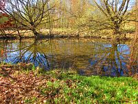 Sýkorky (Hradec Králové)