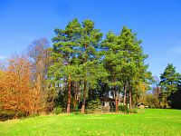 Sýkorky (Hradec Králové)