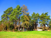 Sýkorky (Hradec Králové)