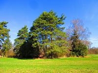 Sýkorky (Hradec Králové)