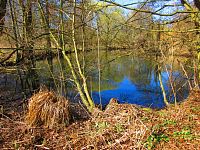 Sýkorky (Hradec Králové)