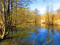 Sýkorky (Hradec Králové)