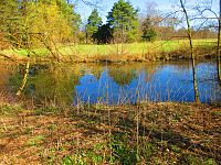 Sýkorky (Hradec Králové)