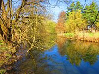 Sýkorky (Hradec Králové)