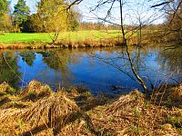 Sýkorky (Hradec Králové)