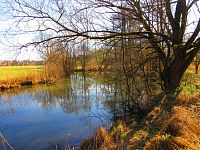 Sýkorky (Hradec Králové)