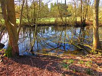 Sýkorky (Hradec Králové)