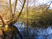 Sýkorky (Hradec Králové)