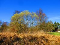 Sýkorky (Hradec Králové)