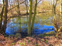 Sýkorky (Hradec Králové)