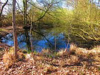 Sýkorky (Hradec Králové)