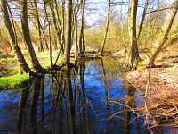 Sýkorky (Hradec Králové)