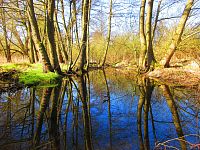 Sýkorky (Hradec Králové)