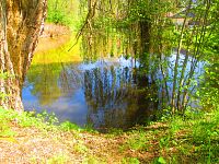 Bývalá mlýnská nádržka u Březhradu (Hradec Králové)