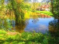 Bývalá mlýnská nádržka u Březhradu (Hradec Králové)