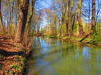 Přírodní památka Trotina (Lochenice)