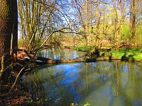 Přírodní památka Trotina