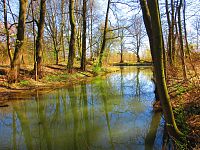 Přírodní památka Trotina (Lochenice)