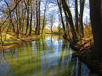 Přírodní památka Trotina (Lochenice)